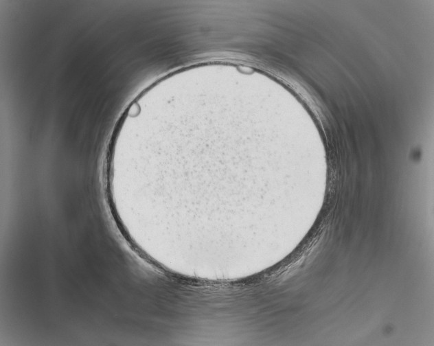 X0000116600999201001221254