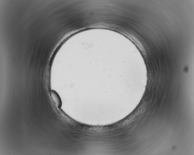 X0000116601000201001221254