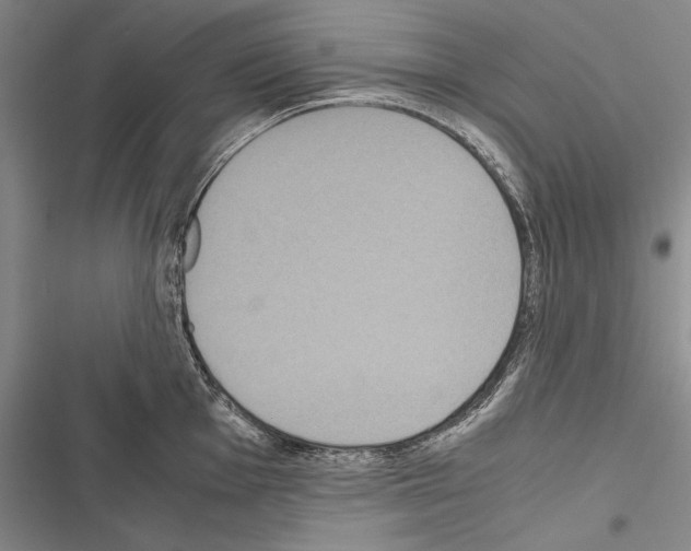 X0000116601001201001221254