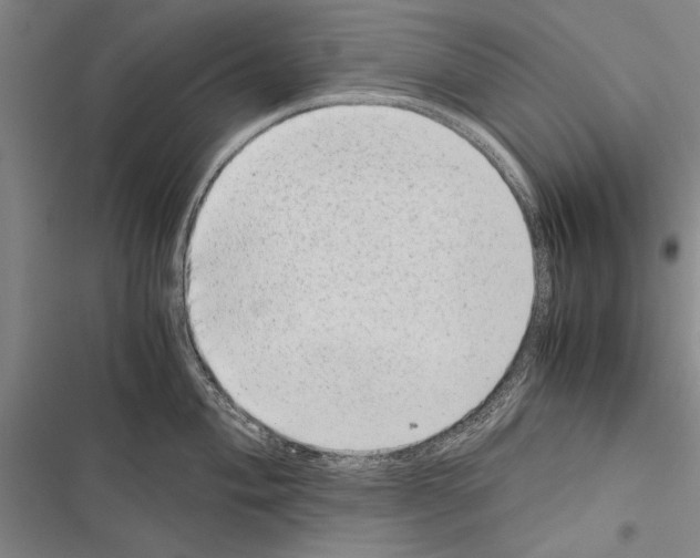 X0000116601004201001221254