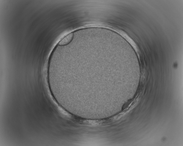 X0000116601005201001221254