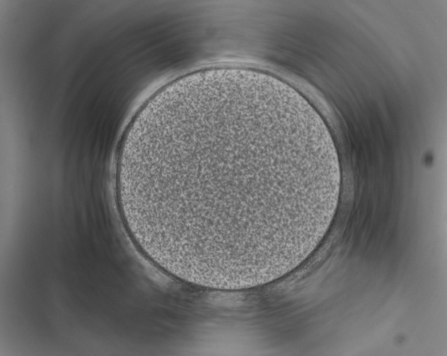 X0000116601006201001221254