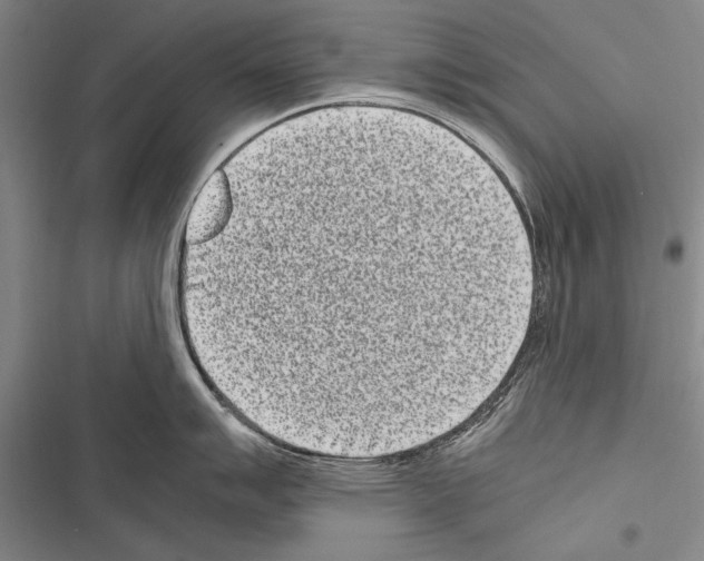X0000116601007201001221254