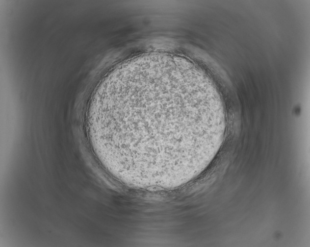 X0000116601009201001221253