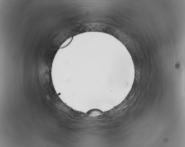 X0000116601010201001221253
