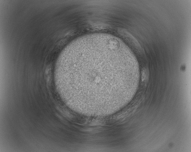 X0000116601011201001221253