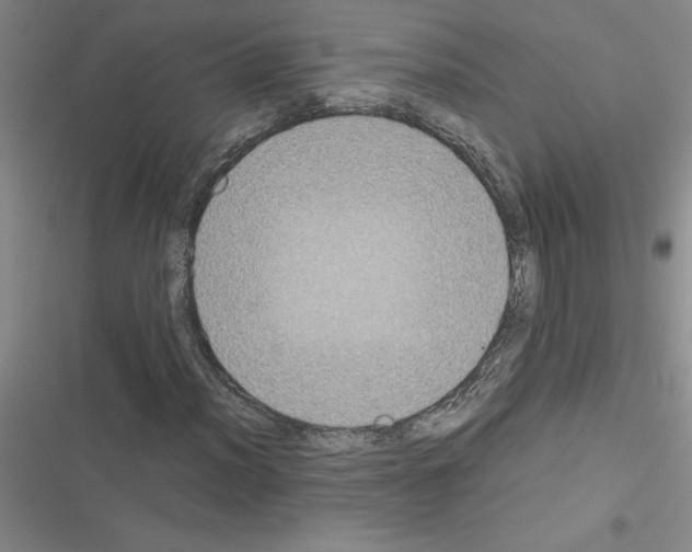 X0000116601012201001221253