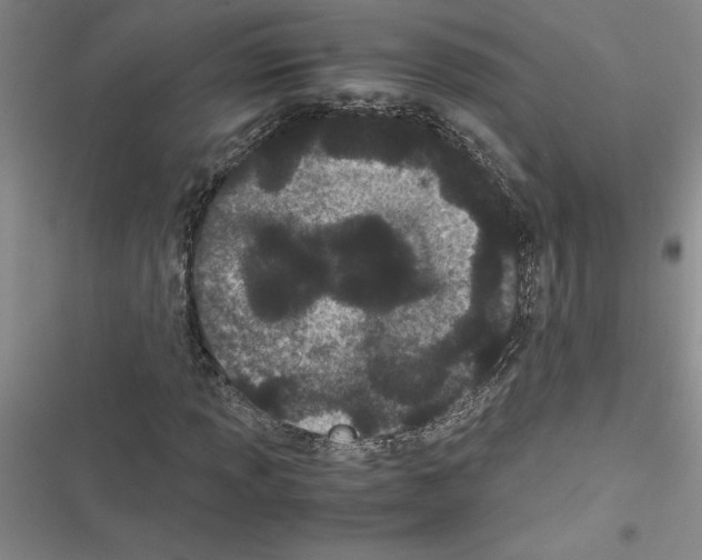X0000116601013201001221253
