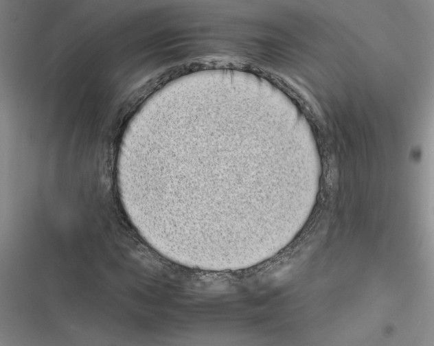 X0000116601015201001221253