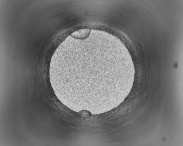 X0000116601016201001221253