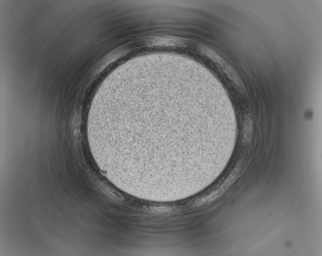 X0000116601017201001221253