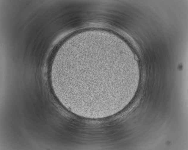 X0000116601019201001221253