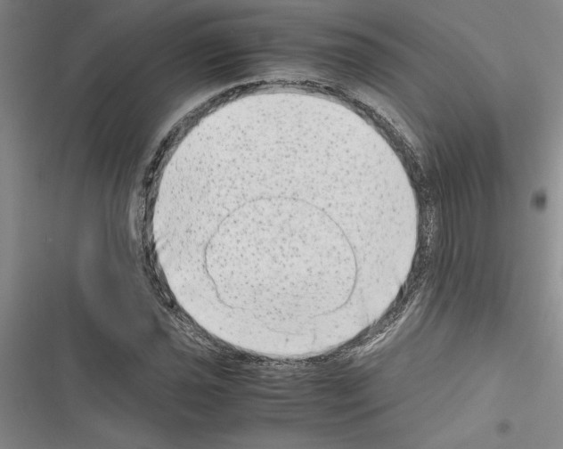 X0000116601021201001221253