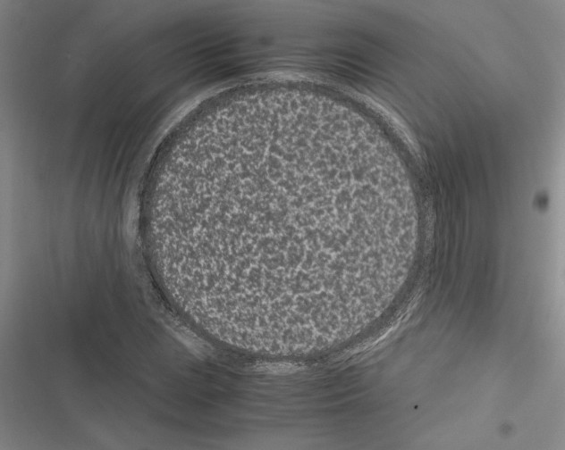 X0000116601023201001221253