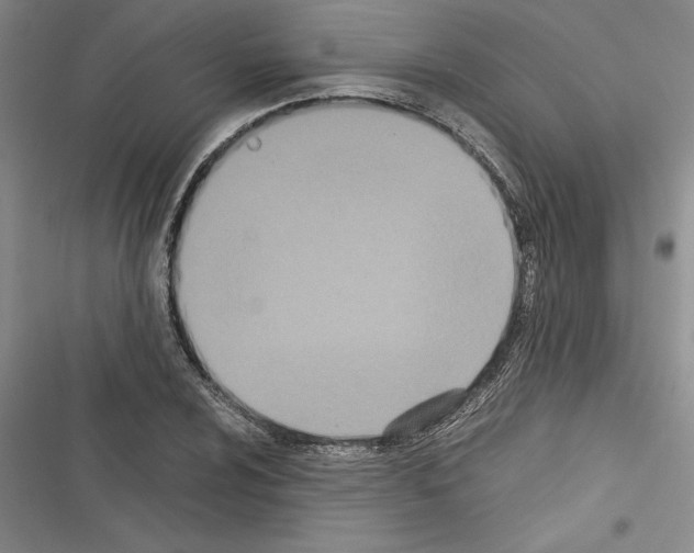 X0000116601024201001221253