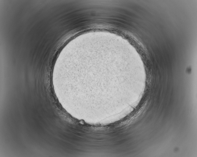 X0000116601025201001221253