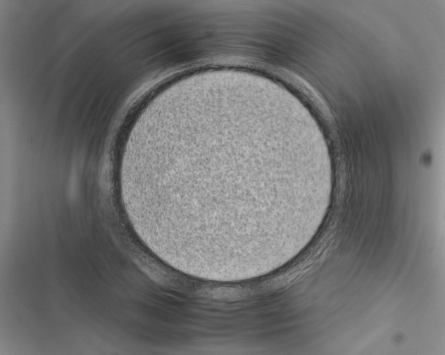 X0000116601027201001221253
