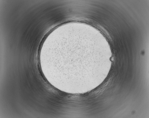 X0000116601028201001221253