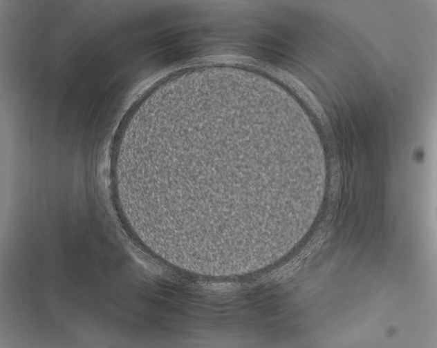 X0000116601031201001221253