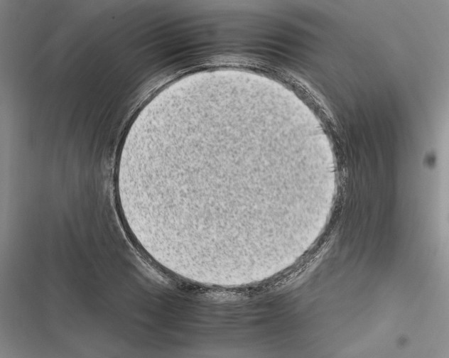 X0000116601033201001221253