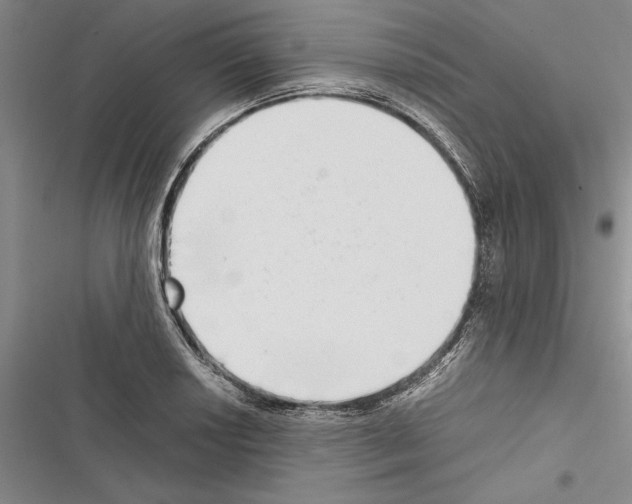 X0000116601034201001221253