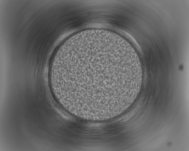 X0000116601035201001221253