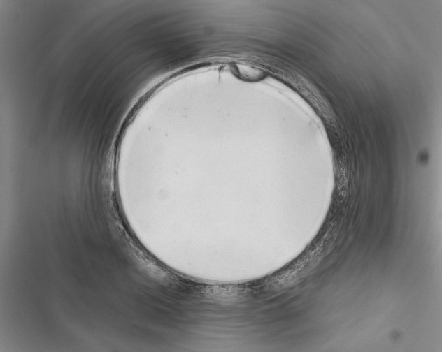 X0000116601036201001221253