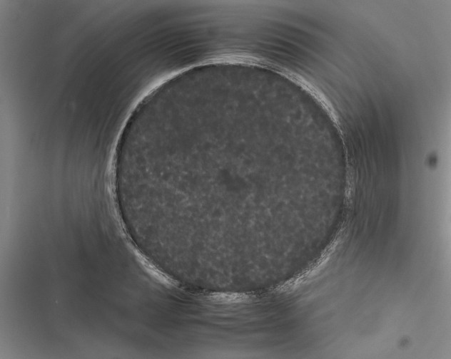 X0000116601037201001221253