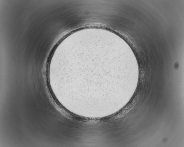 X0000116601038201001221253