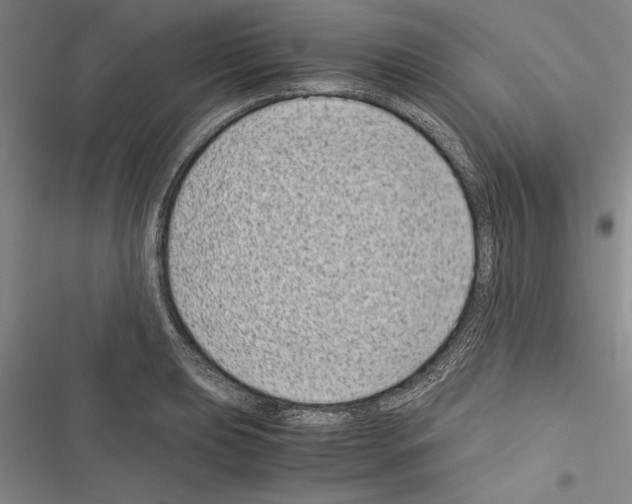 X0000116601039201001221253