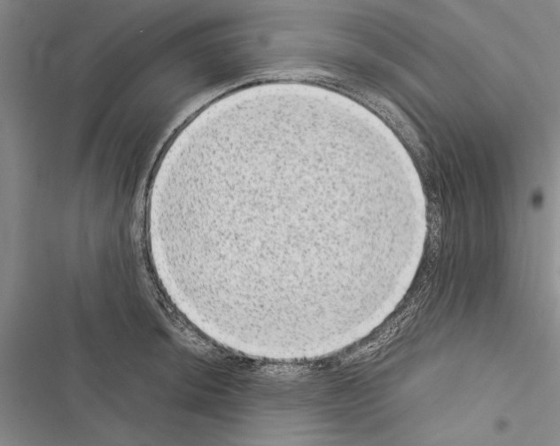 X0000116601044201001221253