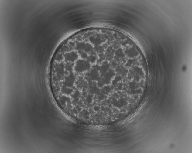 X0000116601045201001221253