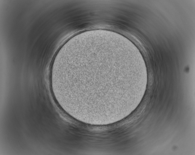 X0000116601047201001221253