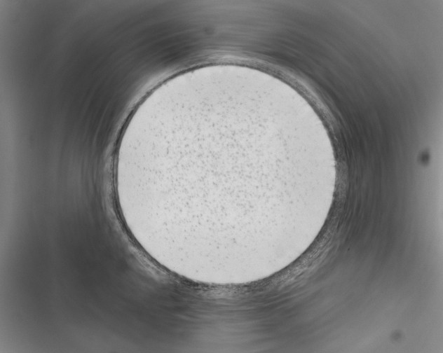 X0000116601048201001221253