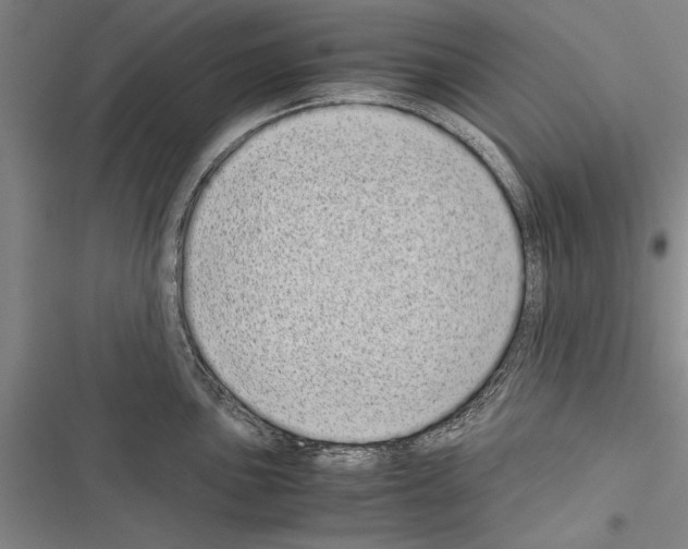 X0000116601051201001221254