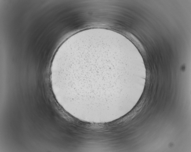 X0000116601052201001221254