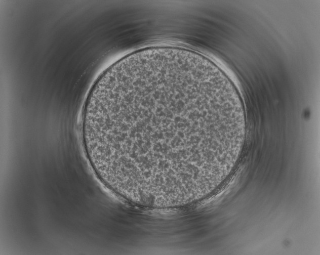 X0000116601053201001221254