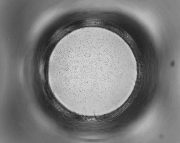 X0000116601054201001221254