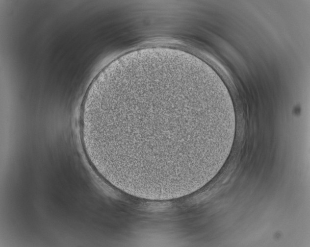 X0000116601055201001221254