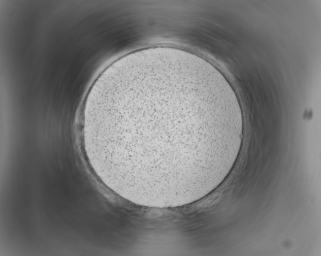 X0000116601056201001221254