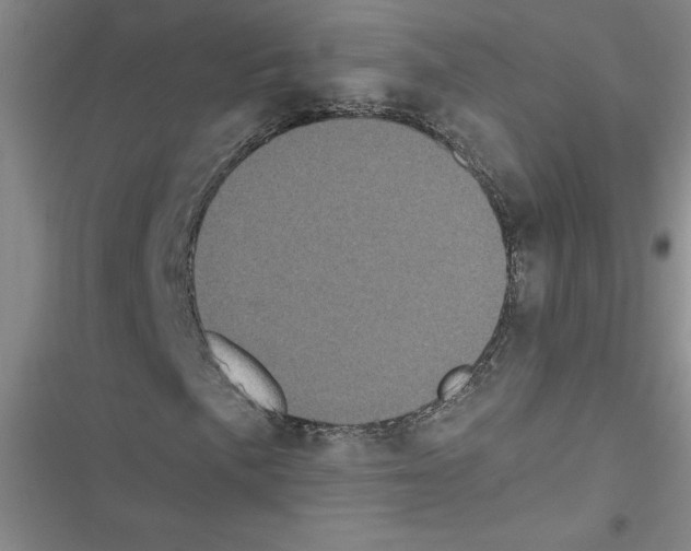 X0000116601057201001221253