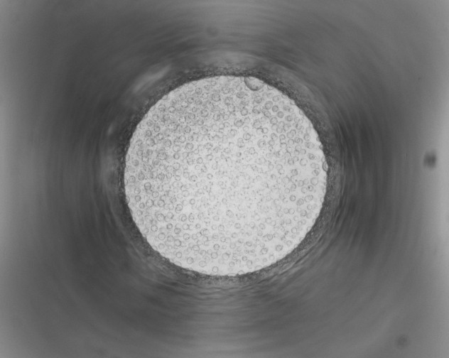 X0000116601058201001221253