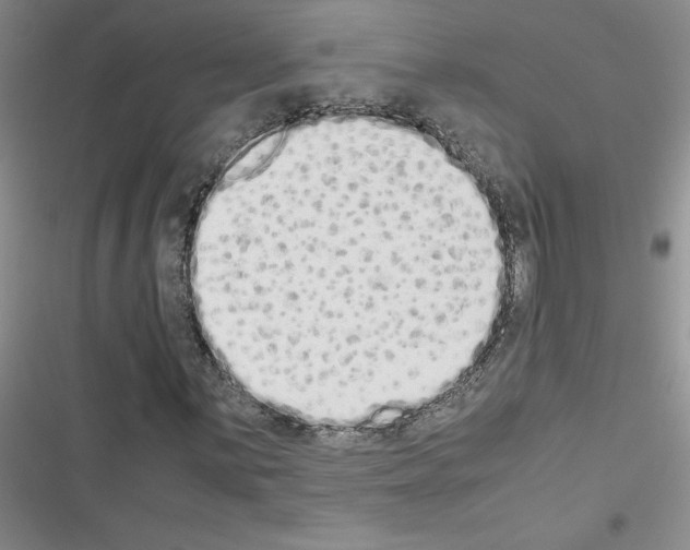X0000116601059201001221253
