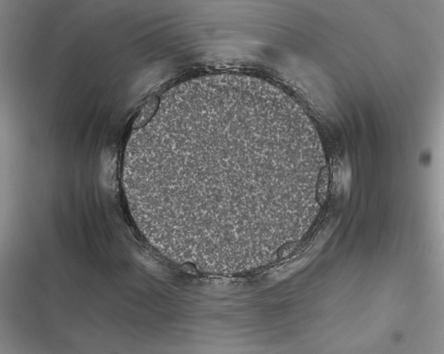 X0000116601060201001221253
