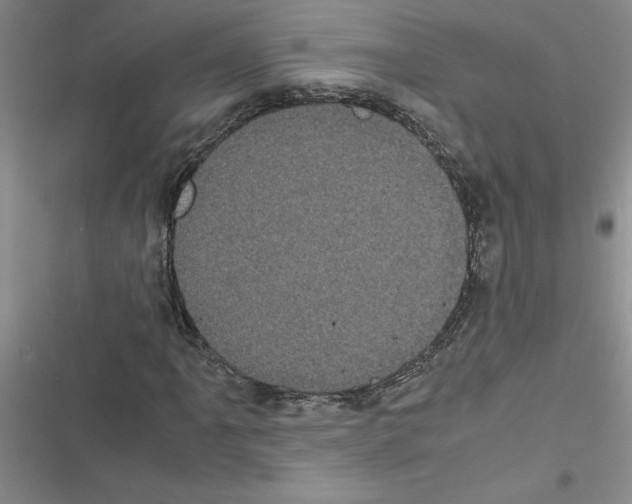X0000116601061201001221253