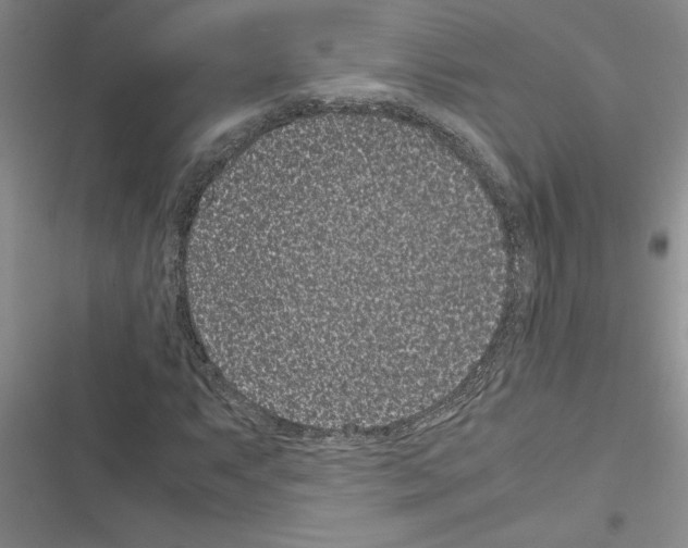X0000116601063201001221253