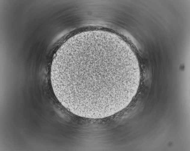 X0000116601064201001221253