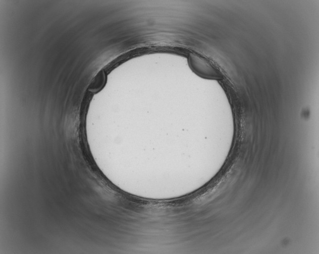 X0000116601065201001221253