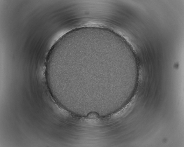 X0000116601066201001221253