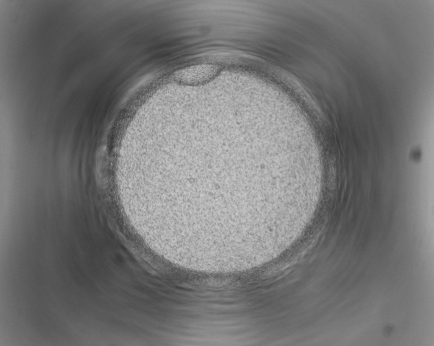 X0000116601067201001221253